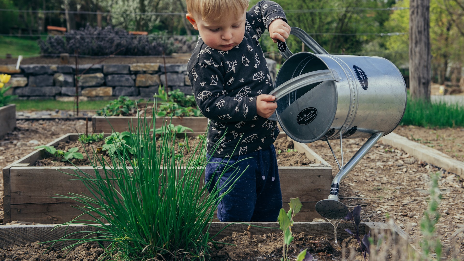 Baby gardening